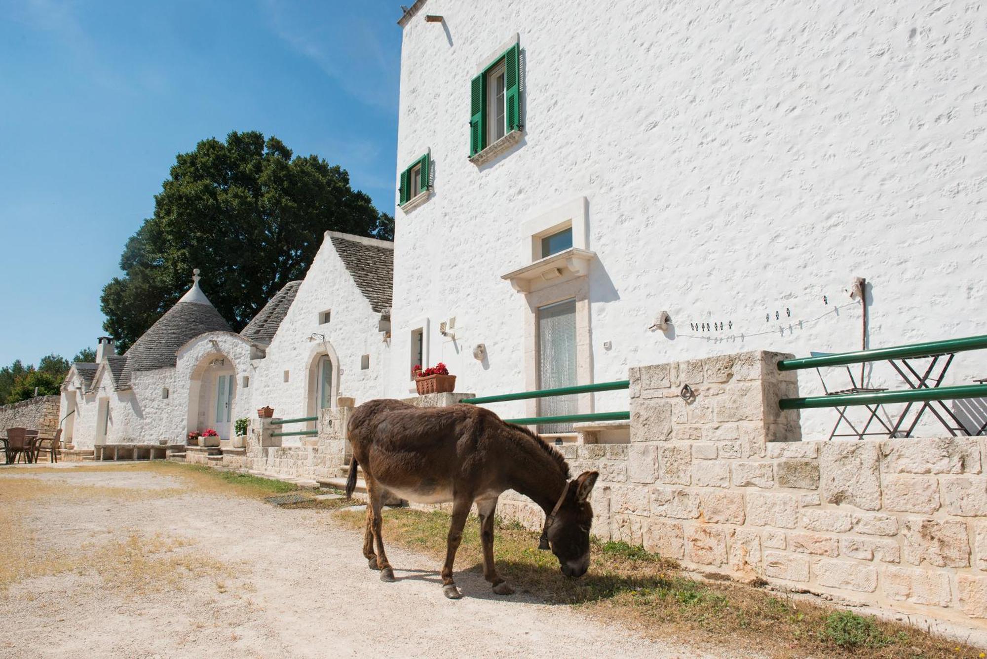 Agriturismo Masseria Aprile Locorotondo Extérieur photo
